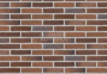 Клинкерный состаренный кирпич Randers Tegl Prima RT 434, ECO-DNF 228X50X54 мм 1