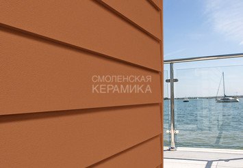 Доска Cedral Lap Smooth 3600 mm C32 Бурая земля 1
