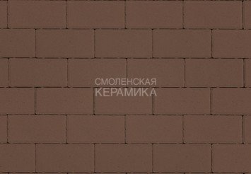Тротуарная плитка STEINRUS Прямоугольник коричневый, 60 мм 1