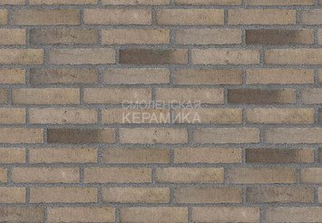 Клинкерный состаренный кирпич Randers Tegl Unika RT 517, ECO-DNF 228X50X54 мм 3