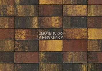 Тротуарная плитка BRAER Прямоугольник Color Mix Мальва, 60 мм 1