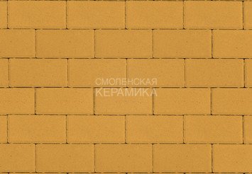 Тротуарная плитка STEINRUS Прямоугольник желтый, 40 мм 1