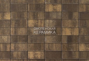 Тротуарная плитка BRAER Прямоугольник Color Mix Каштан, 40 мм 1