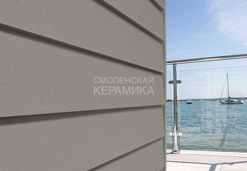 Доска Cedral Lap Smooth 3600 mm C56 Прохладный минерал 1