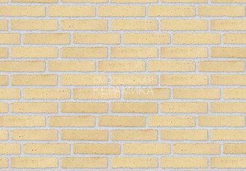 Клинкерный состаренный кирпич Randers Tegl Classica RT 207, ECO-DNF 228X50X54 мм 3