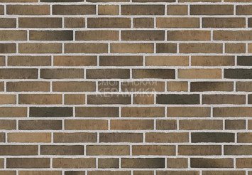 Клинкерный состаренный кирпич Randers Tegl Unika RT 517, ECO-DNF 228X50X54 мм 5