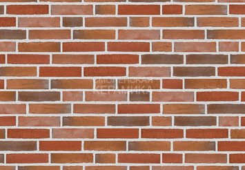 Клинкерный состаренный кирпич Randers Tegl Classica RT 436, ECO-DNF 228X50X54 мм 4
