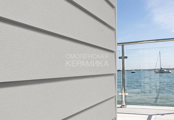 Доска Cedral Lap Smooth 3600 mm C51 Серебристый минерал 1
