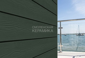 Доска Cedral Click Wood 3600 mm C31 Зеленый океан 1