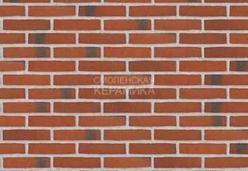 Клинкерный состаренный кирпич Randers Tegl Classica RT 406, ECO-DNF 228X50X54 мм 1