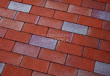 ТТротуарный клинкер Feldhaus Klinker gala alea P405KF 200x100x45 1