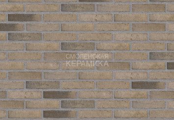 Клинкерный состаренный кирпич Randers Tegl Unika RT 517, ECO-DNF 228X50X54 мм 4