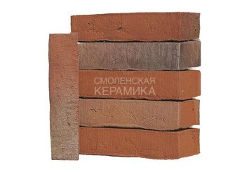 Клинкерный состаренный кирпич Randers Tegl Classica RT 436, ECO-DNF 228X50X54 мм 5