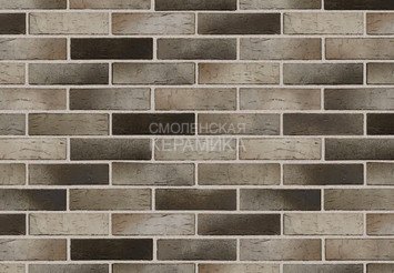Кирпич с утолщенной стенкой BRAER MAX 14.04.1 2